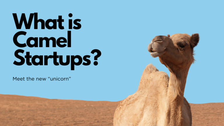 The Rise of Camel Startups: Resilience to Survive